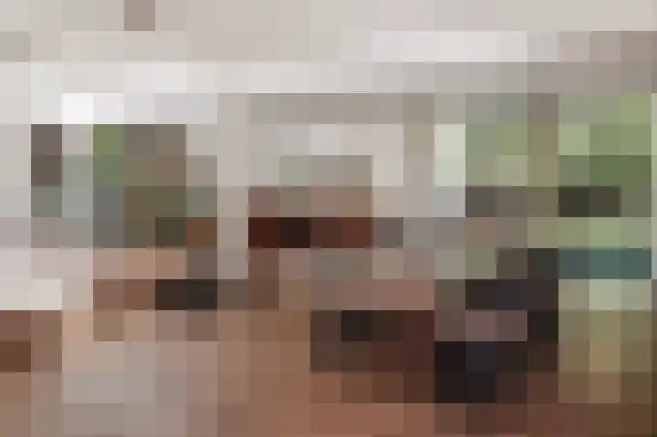 Heuvellaan 1 Wapenveld thumbnail 16
