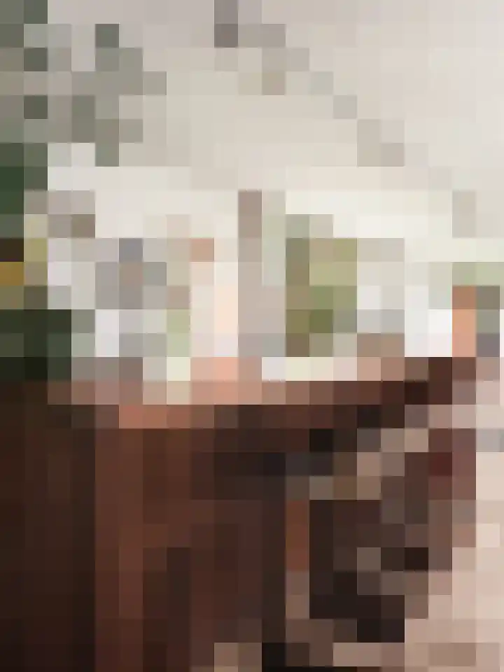 Heuvellaan 1 Wapenveld thumbnail 19