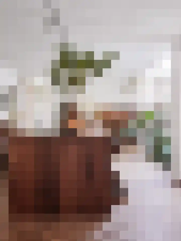 Heuvellaan 1 Wapenveld thumbnail 20