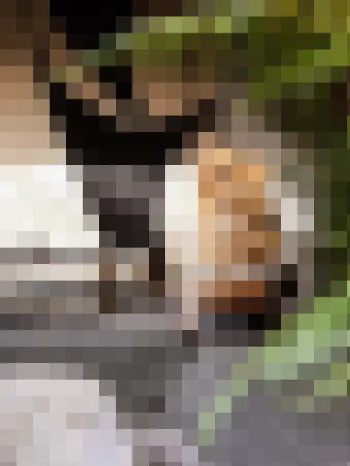 Heuvellaan 1 Wapenveld thumbnail 22