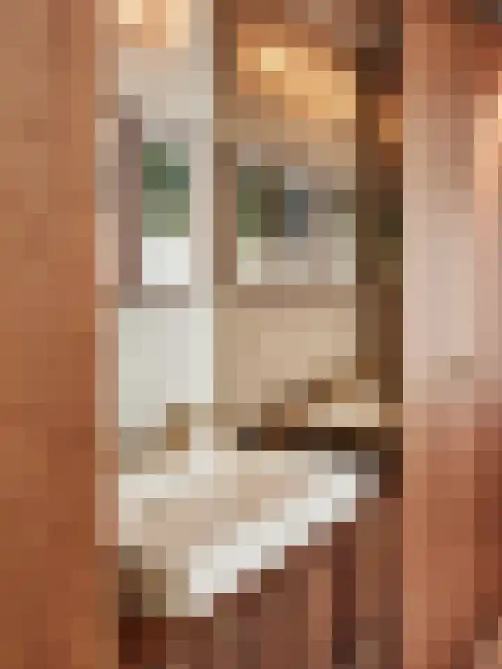 Heuvellaan 1 Wapenveld thumbnail 24