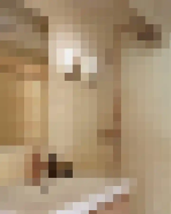 Heuvellaan 1 Wapenveld thumbnail 31