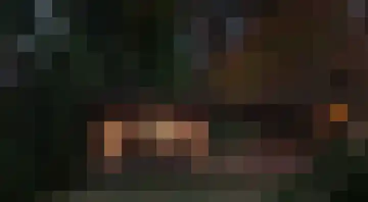 Heuvellaan 1 Wapenveld thumbnail 32