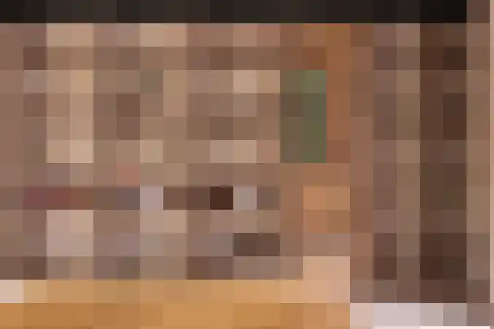 Heuvellaan 1 Wapenveld thumbnail 36
