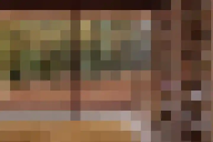 Heuvellaan 1 Wapenveld thumbnail 37