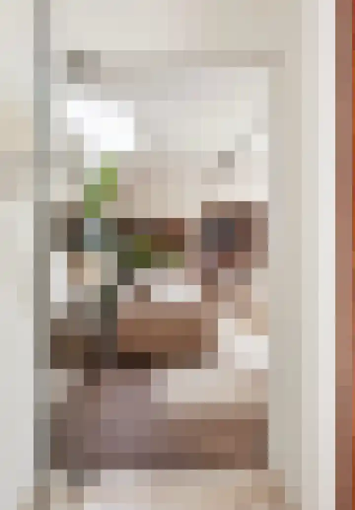 Heuvellaan 1 Wapenveld thumbnail 4