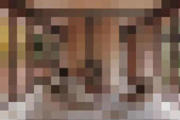 Heuvellaan 1 Wapenveld thumbnail 41