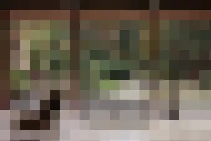 Heuvellaan 1 Wapenveld thumbnail 42
