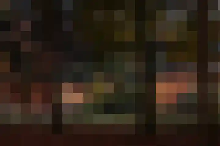 Heuvellaan 1 Wapenveld thumbnail 43