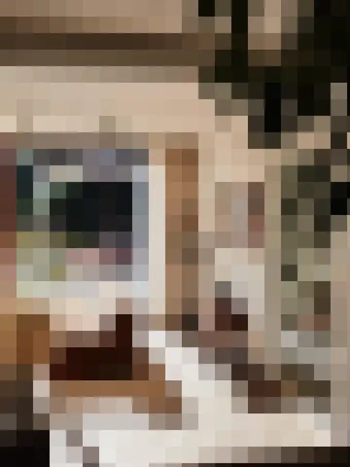 Heuvellaan 1 Wapenveld thumbnail 7