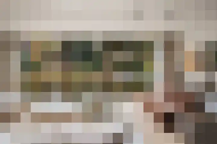 Heuvellaan 1 Wapenveld thumbnail 8