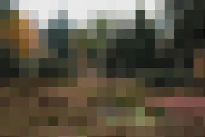 Heuvellaan 1 Wapenveld thumbnail 9