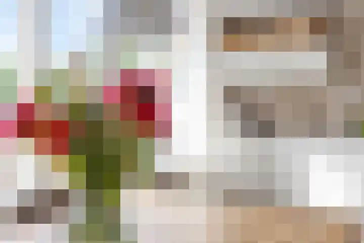 Heuvellaan 117 Gouda thumbnail 16