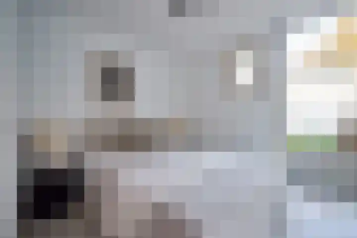 Heuvellaan 12 B Hilversum thumbnail 13
