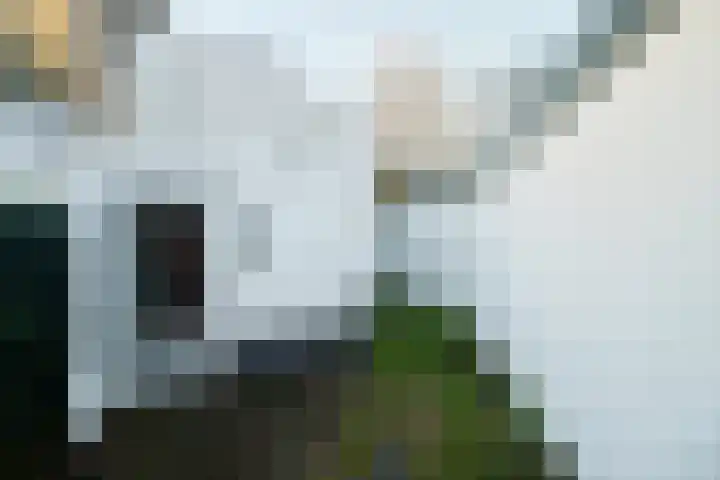 Heuvellaan 12 B Hilversum thumbnail 15