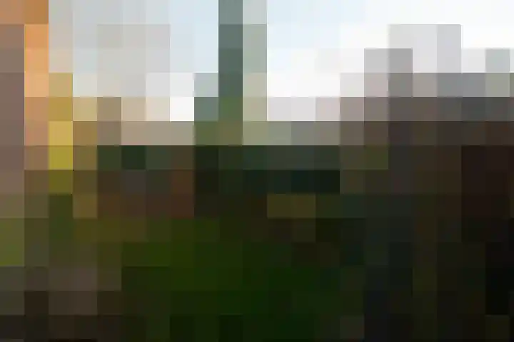 Heuvellaan 12 B Hilversum thumbnail 16