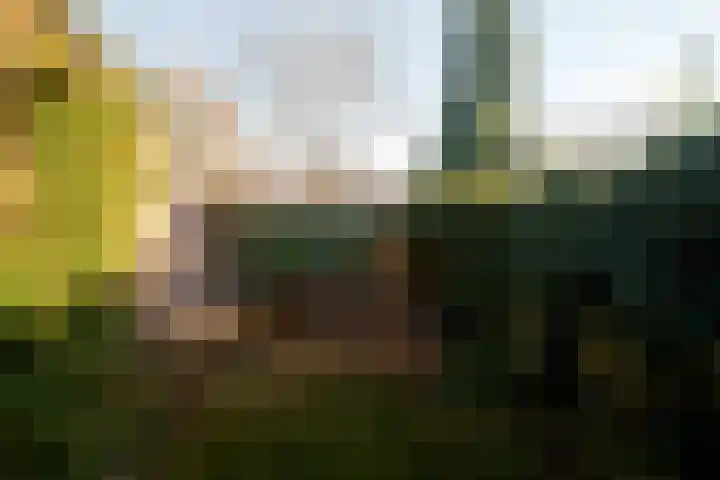 Heuvellaan 12 B Hilversum thumbnail 17