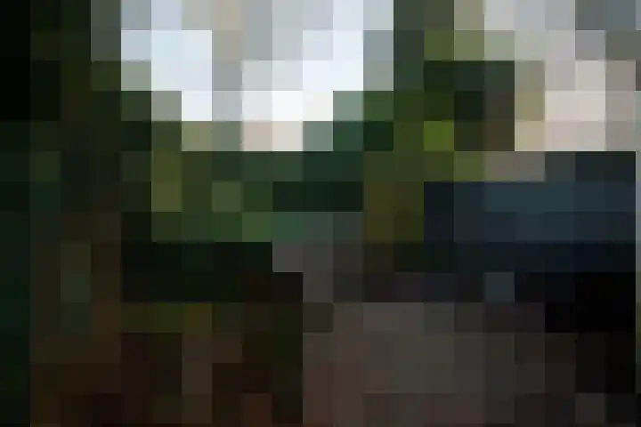 Heuvellaan 12 B Hilversum thumbnail 20