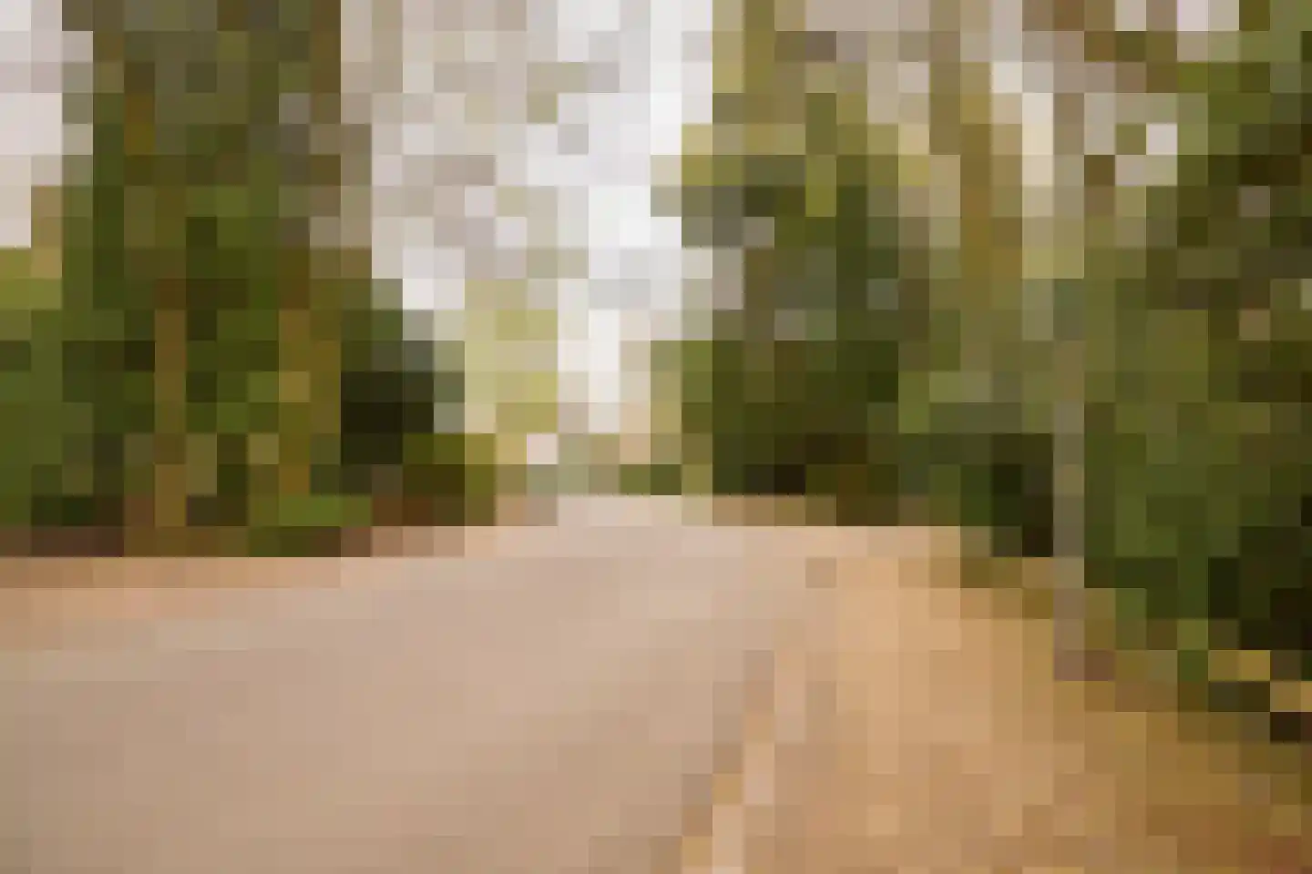 Heuvellaan 12 C Hilversum thumbnail 24
