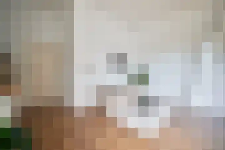 Heuvellaan 12 D Hilversum thumbnail 10