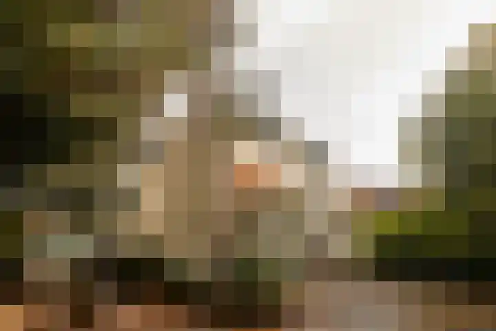 Heuvellaan 12 D Hilversum thumbnail 25