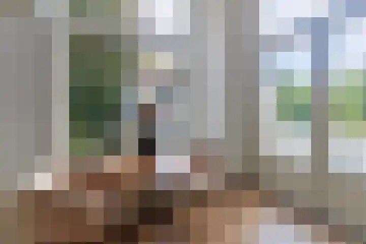 Heuvellaan 12 D Hilversum thumbnail 7