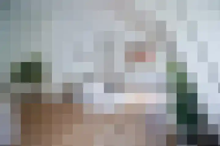 Heuvellaan 12 F Hilversum thumbnail 12