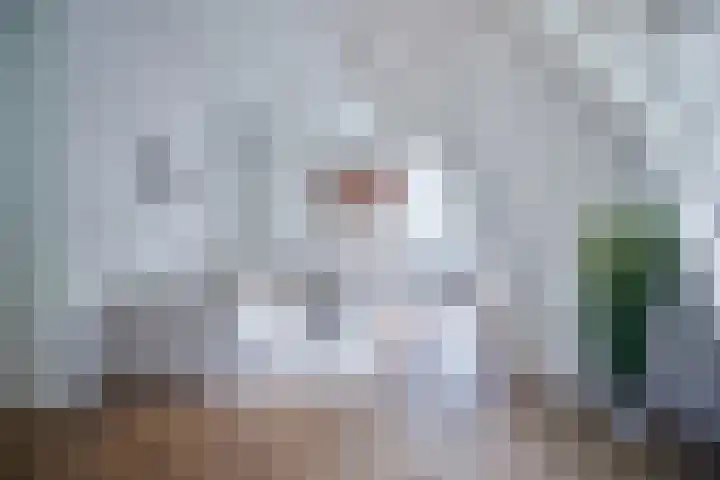 Heuvellaan 12 F Hilversum thumbnail 13