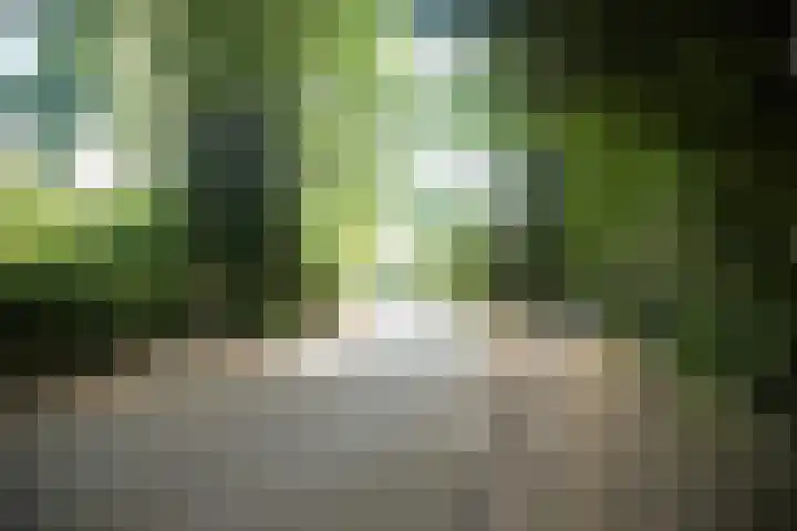 Heuvellaan 12 F Hilversum thumbnail 27