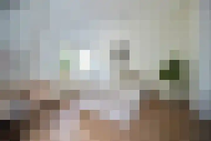 Heuvellaan 12 F Hilversum thumbnail 6