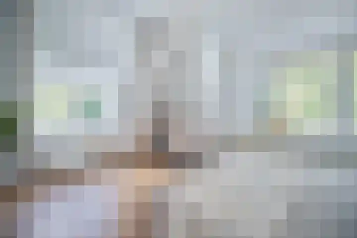 Heuvellaan 12 F Hilversum thumbnail 9