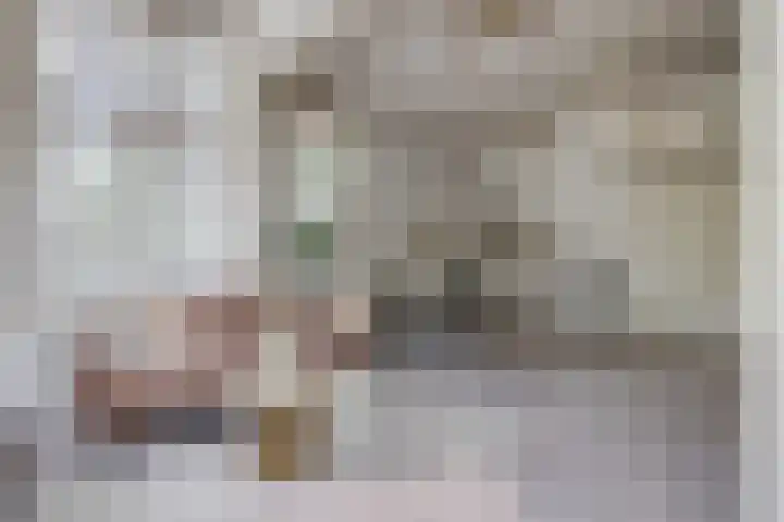 Heuvellaan 12 Hilversum thumbnail 11