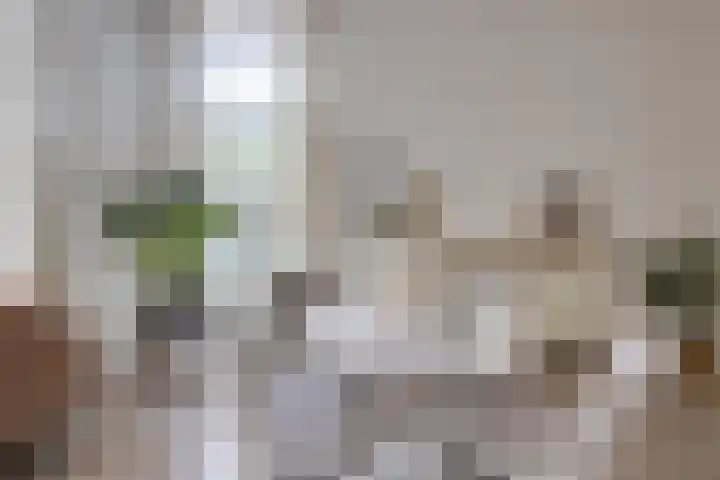 Heuvellaan 12 Hilversum thumbnail 13
