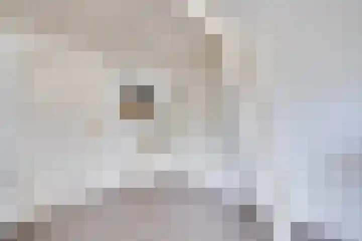 Heuvellaan 12 Hilversum thumbnail 17