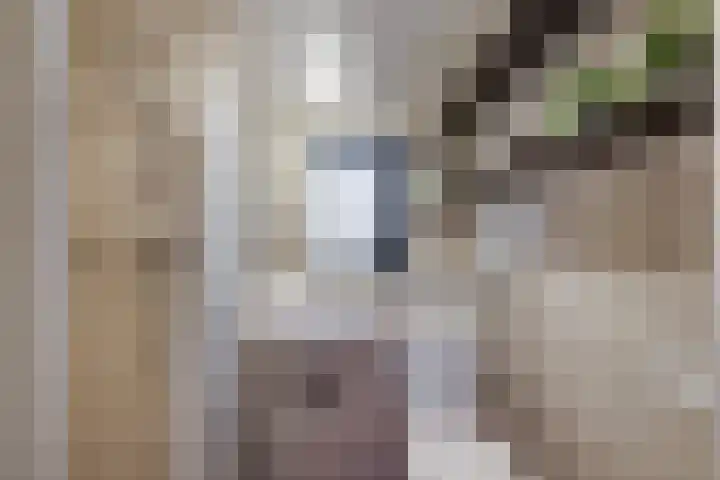 Heuvellaan 12 Hilversum thumbnail 20
