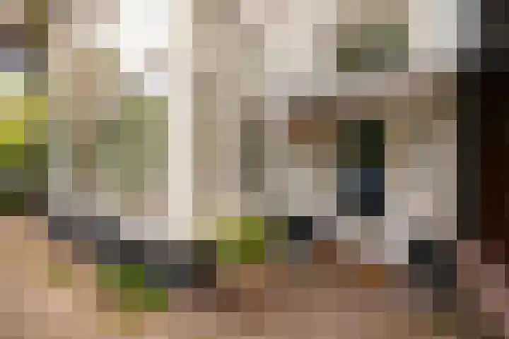 Heuvellaan 12 Hilversum thumbnail 24