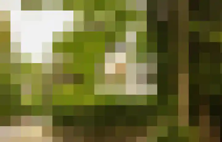 Heuvellaan 12 Hilversum thumbnail 25
