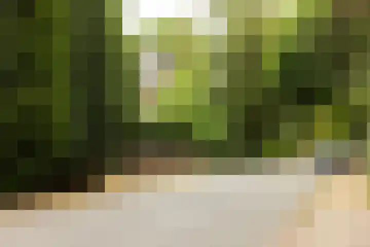 Heuvellaan 12 Hilversum thumbnail 26