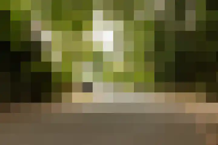 Heuvellaan 12 Hilversum thumbnail 27