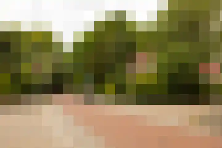 Heuvellaan 12 Hilversum thumbnail 28