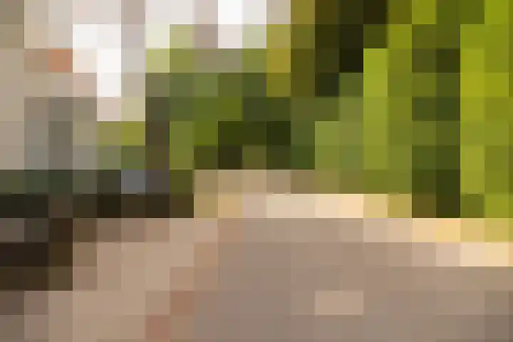 Heuvellaan 12 Hilversum thumbnail 29