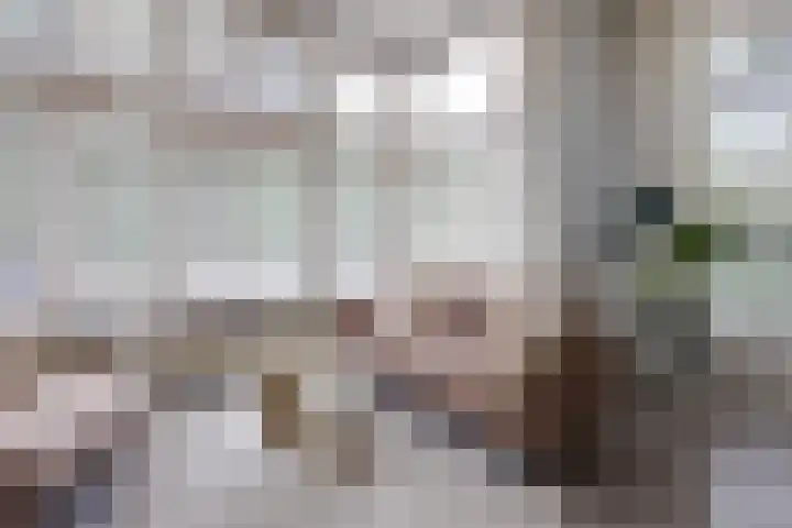 Heuvellaan 12 Hilversum thumbnail 7