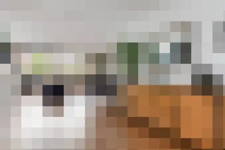 Heuvellaan 120 Gouda thumbnail 11