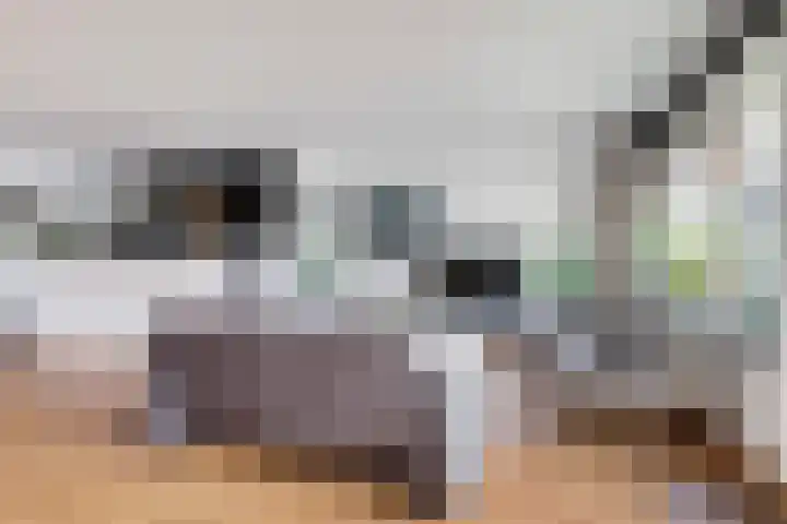 Heuvellaan 120 Gouda thumbnail 17