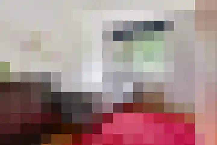 Heuvellaan 120 Gouda thumbnail 29