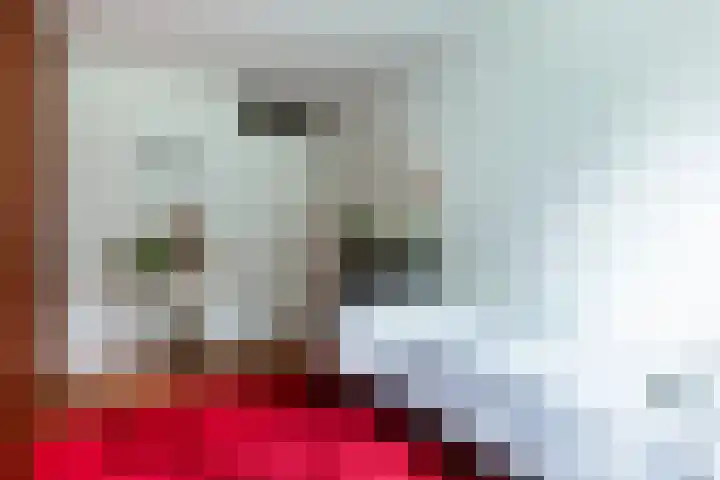 Heuvellaan 120 Gouda thumbnail 30