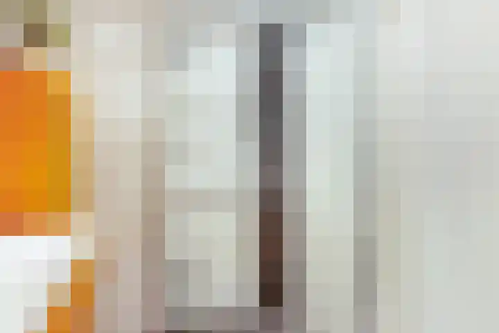 Heuvellaan 120 Gouda thumbnail 32