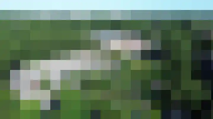 Heuvellaan 120 Gouda thumbnail 38