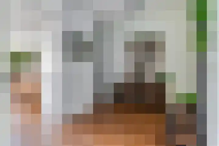 Heuvellaan 120 Gouda thumbnail 8