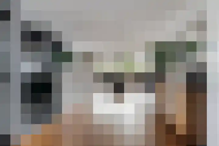 Heuvellaan 120 Gouda thumbnail 9